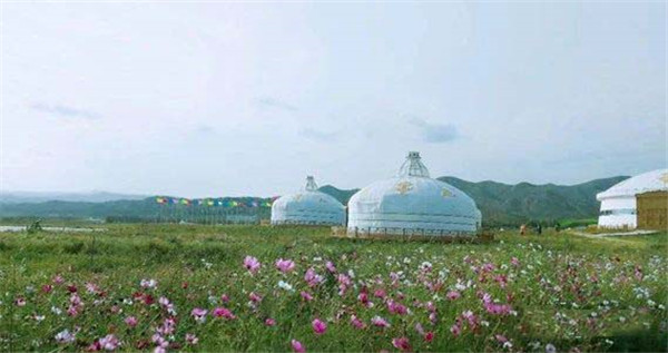 1591089807430318.jpg 7.jpg