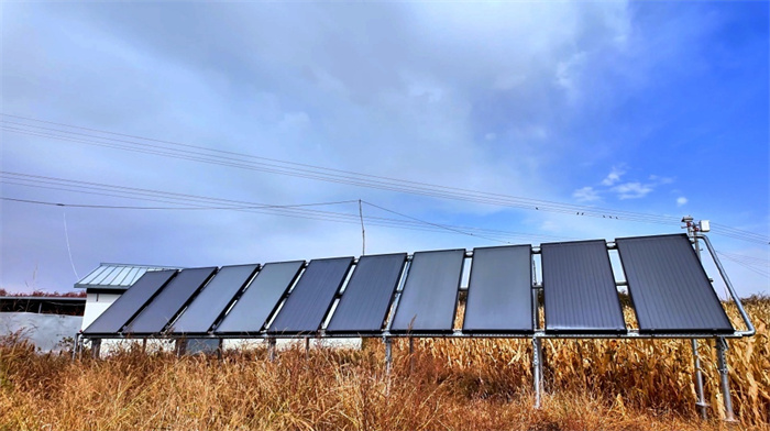 1734488736217482.jpg 11.jpg