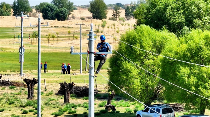 1734488752989817.jpg 33.jpg