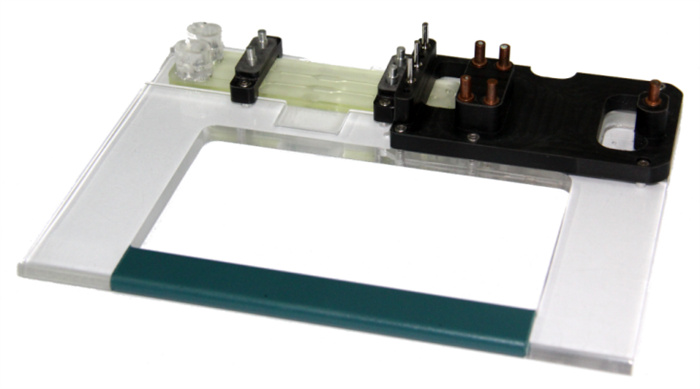 1734593548135709.jpg 2.jpg