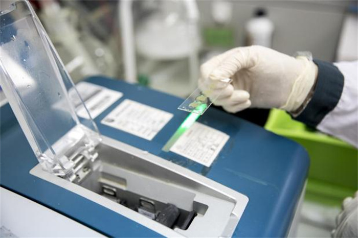 1734593561244549.jpg 5.jpg