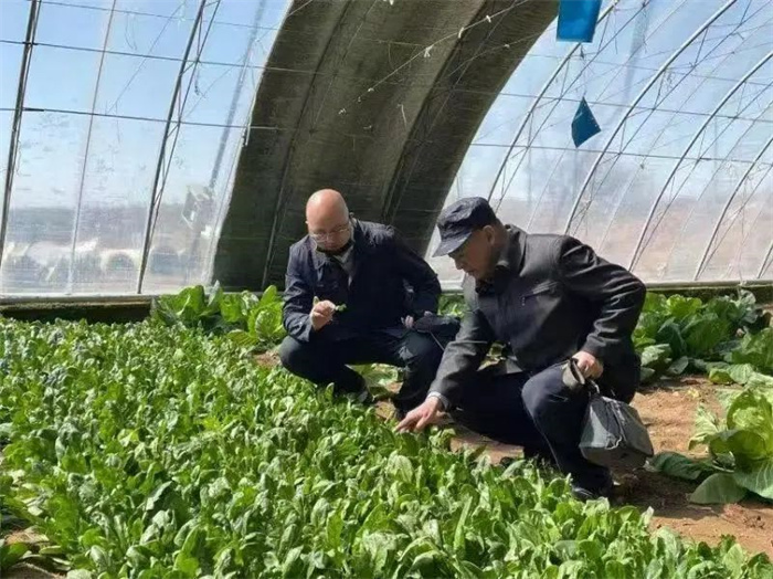 1735010092114959.jpg 11.jpg