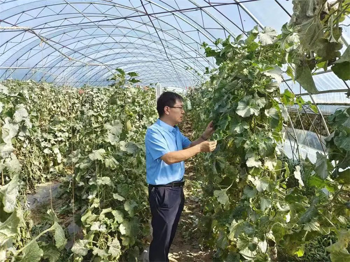 1735010098372526.jpg 22.jpg