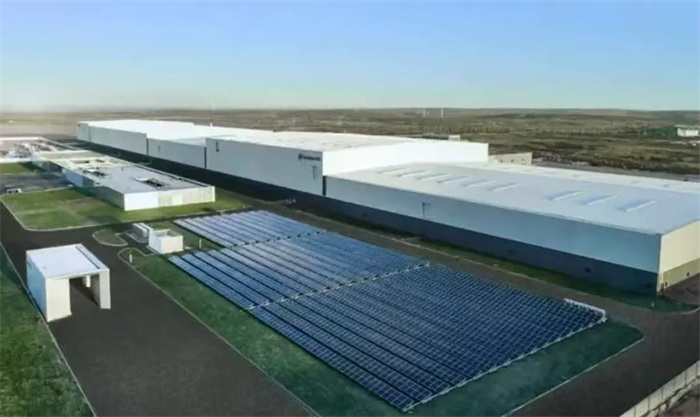 1735981215260170.jpg 2.jpg