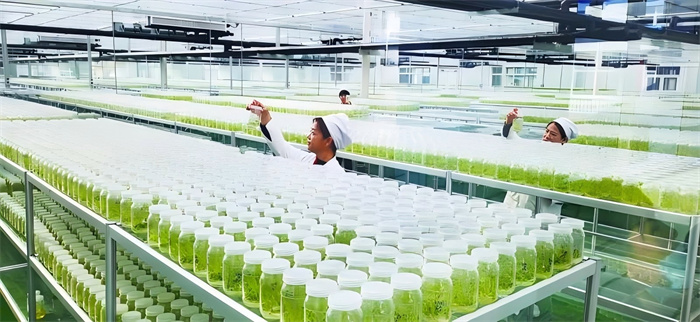 1737646999947559.jpg f764e6666fa6491eb48fb6bbad12f9dc.jpg