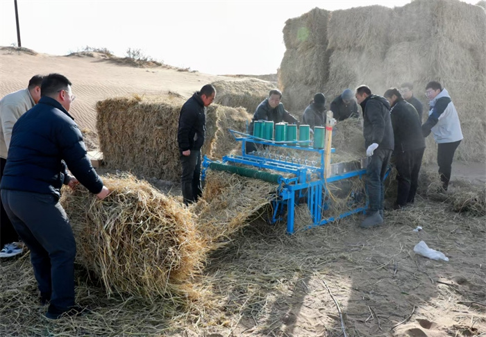 1740562150691908.jpg 1.jpg