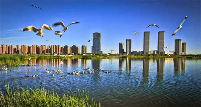 1742977127657697.jpg 11.jpg