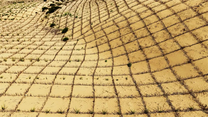 1742977131636526.jpg 22.jpg