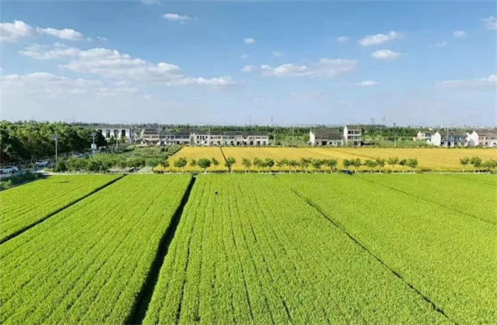 1746674016555110.png 4.png