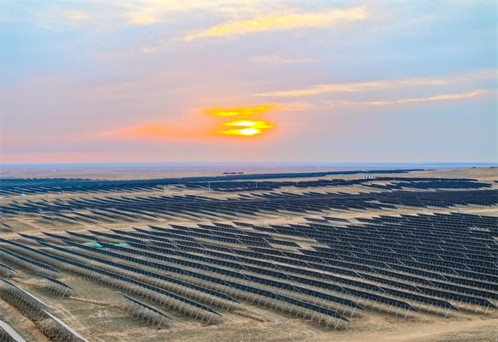 1747365416126793.png 11.png