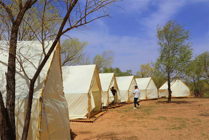 1748484883138532.jpg 11.jpg