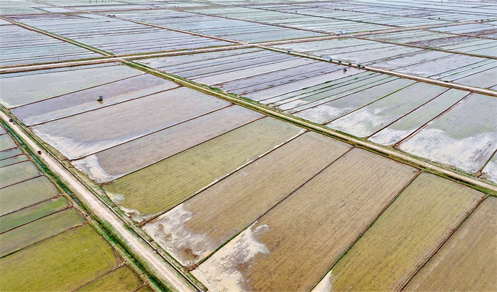 1748589103203411.jpg 333.jpg