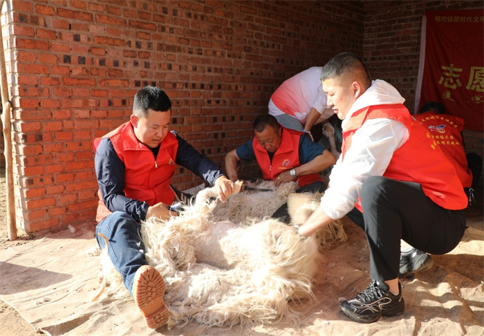 1750302686113982.jpg 2.jpg